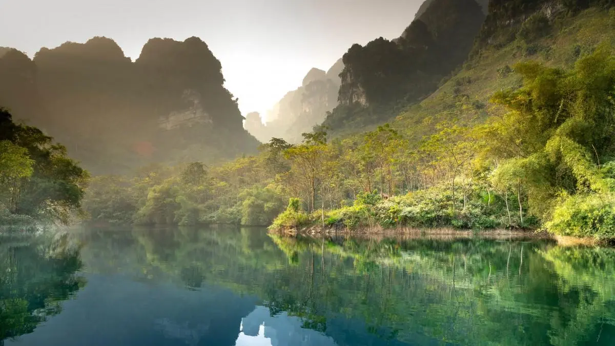 精密高效智能系统